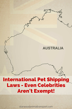 Johnny Depp Learns the Hard Way about Proper International Pet Shipping  http://starwoodanimaltransport.hs-sites.com/blog/johnny-depp-learns-the-hard-way-about-proper-international-pet-shipping/ @starwoodpetmove
