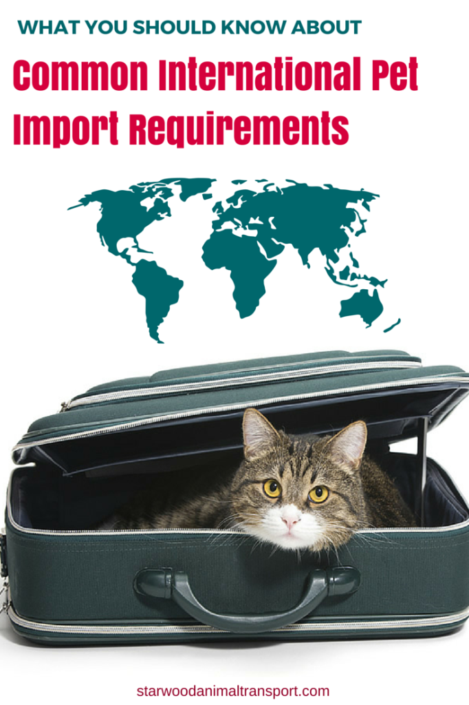 What Are Common International Pet Import Requirements?