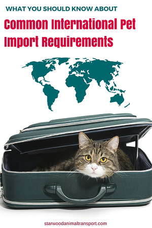 international pet import requirements  http://starwoodanimaltransport.hs-sites.com/blog/international-pet-import-requirements/  @starwoodpetmove
