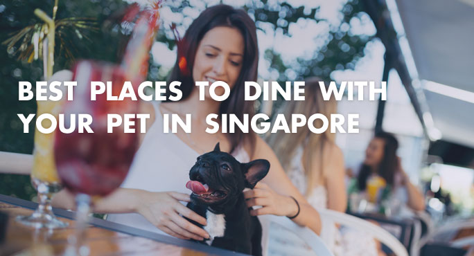Best places to dine with your pet in Singapore.