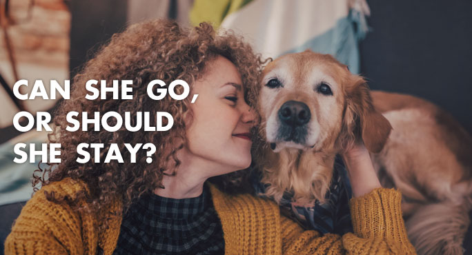 A woman with her dog wonders whether she will bring her pet for an overseas move or not