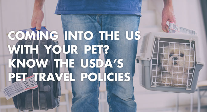 usda pet travel guidelines