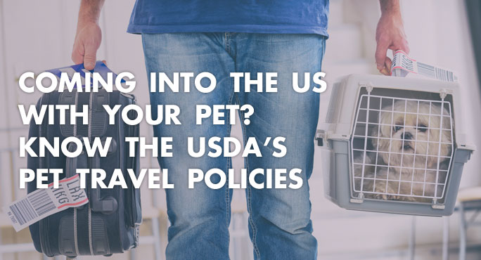 Coming into the US with Your Pet? Know The USDA's Pet Travel Policies