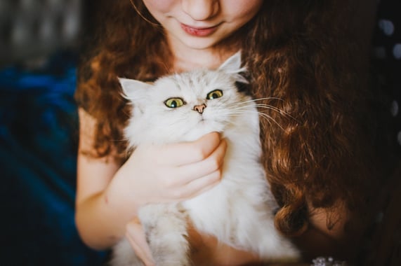 Girl holding gray cat