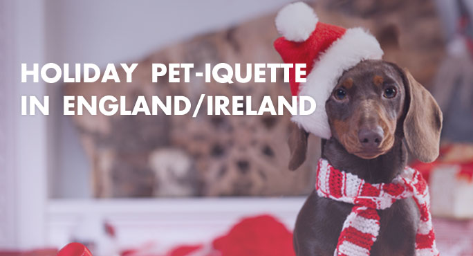 How To Exhibit Proper Holiday Pet-iquette In England/Ireland. 