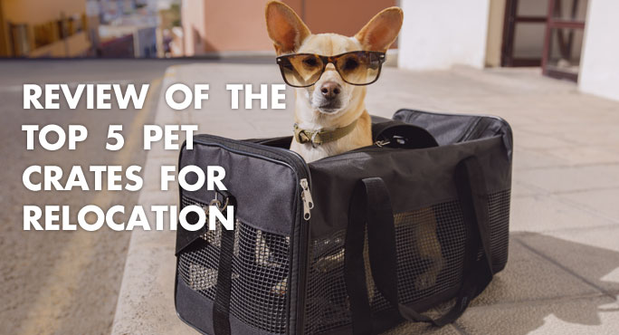 Review of the Top 5 Pet Crates for Relocation http://www.starwoodanimaltransport.com/blog/review-top-5-pet-crates-relocation