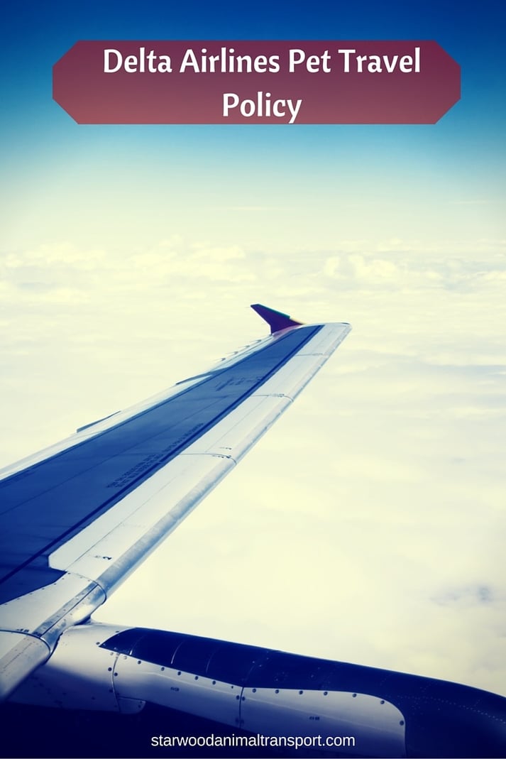 Delta Airlines Pet Policy