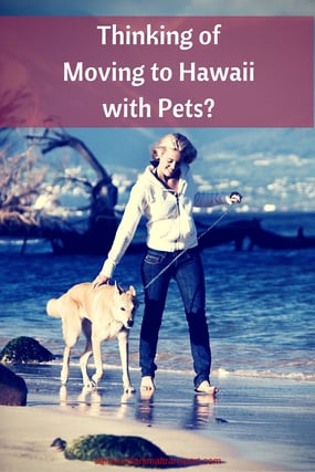 Thinking of Moving to Hawaii with Pets? http://www.starwoodanimaltransport.com/blog/thinking-of-moving-to-hawaii-with-pets @starwoodpetmove