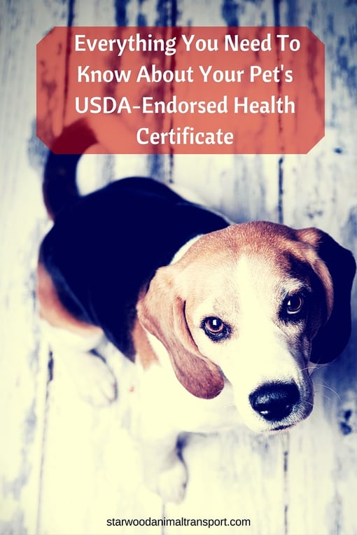 usda pet travel endorsement