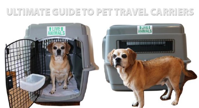 Ultimate Guide To Pet Travel Carriers   Starwood Carrier Guide 