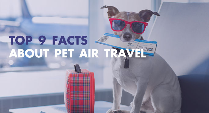 Top-9-Facts-About-Pet-Air-Travel.jpg