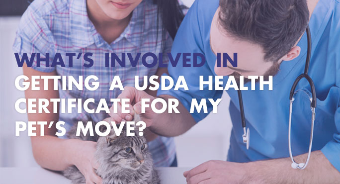 Getting a USDA  Health Certificate for My Pets Move