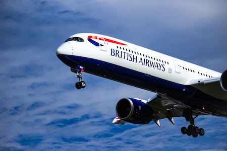 British airways sales emotional support animal