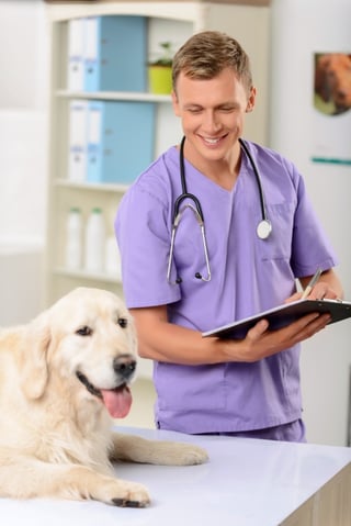 Dog at veterinarian before his move