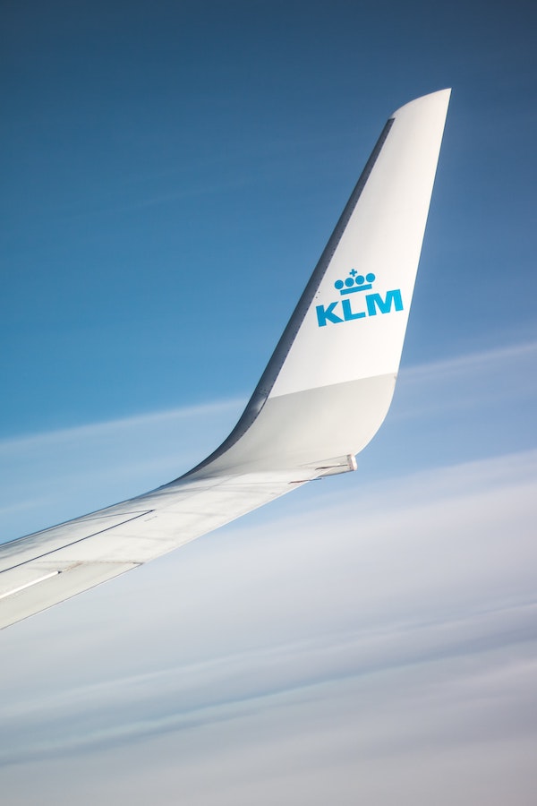 Klm sales dog transport