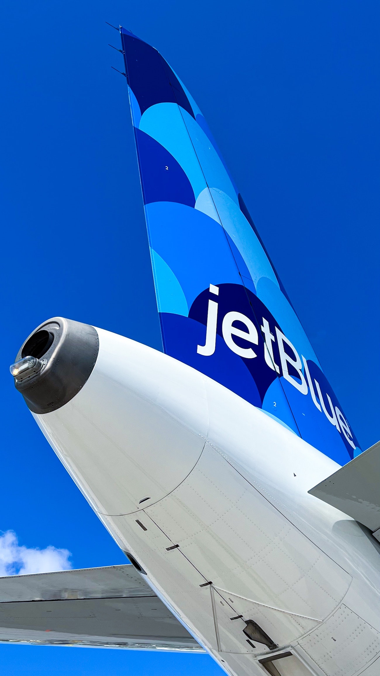 JetBlue Airline Pet Policies