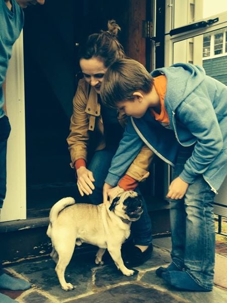 pug-reunited-with-owners