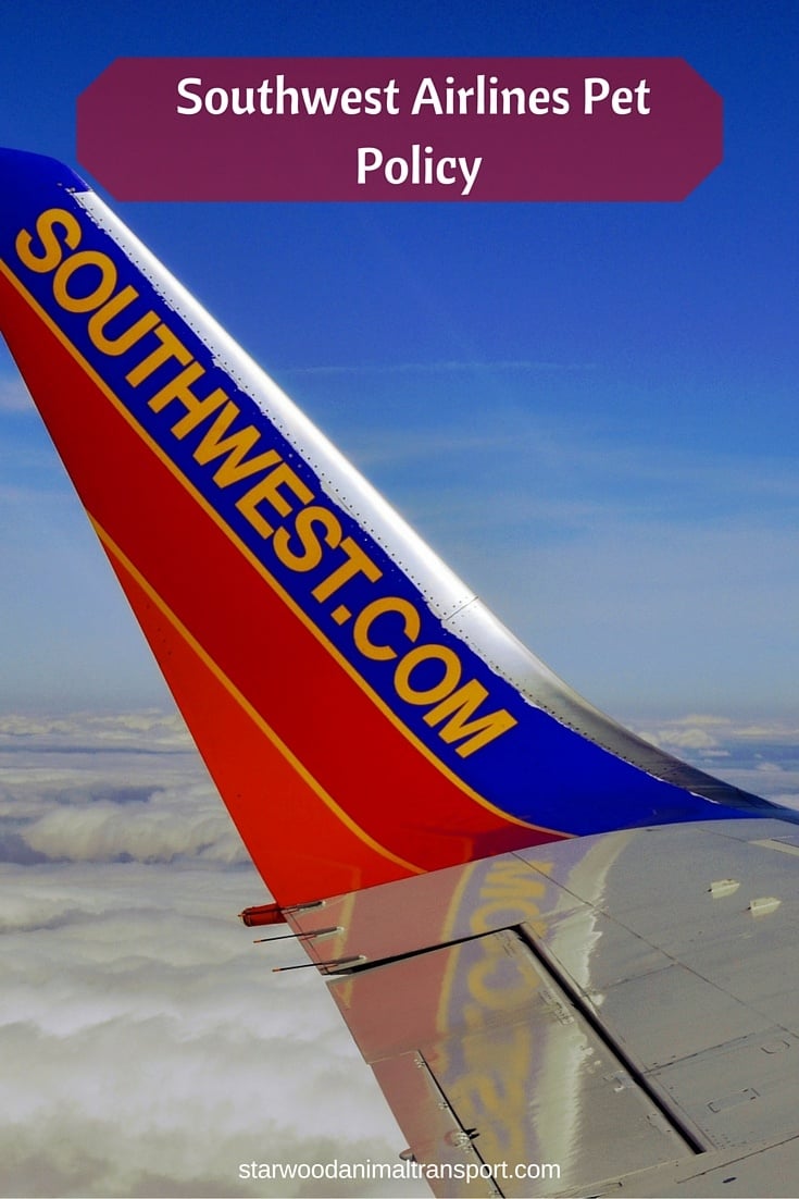 Southwest flying with sales dogs