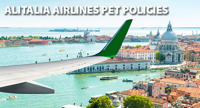 alitalia travel with pets