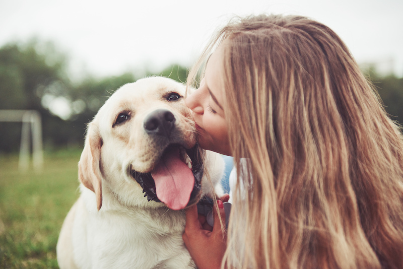owner kissing dog on the cheek