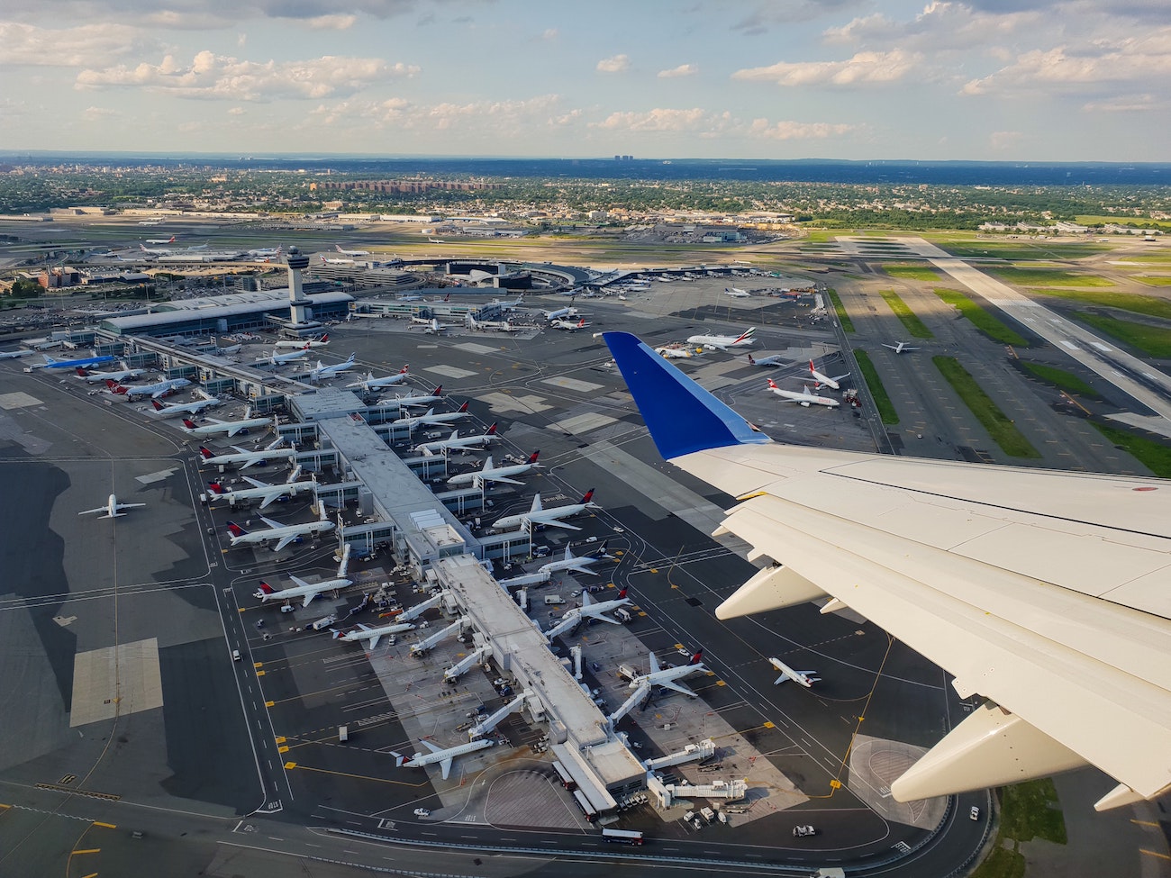 Carry-On Pet Policy by Airline: The Full Rundown